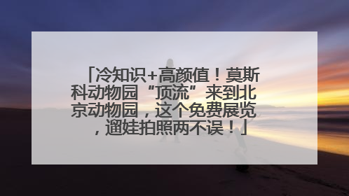 冷知识+高颜值！莫斯科动物园“顶流”来到北京动物园，这个免费展览，遛娃拍照两不误！