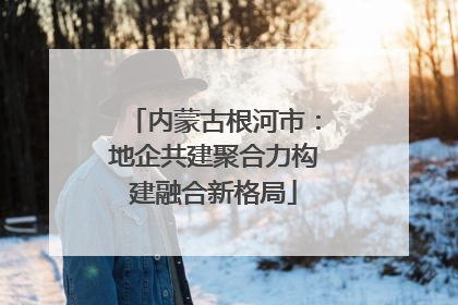 内蒙古根河市：地企共建聚合力构建融合新格局