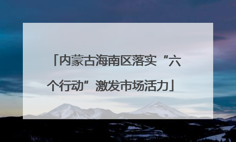 内蒙古海南区落实“六个行动”激发市场活力