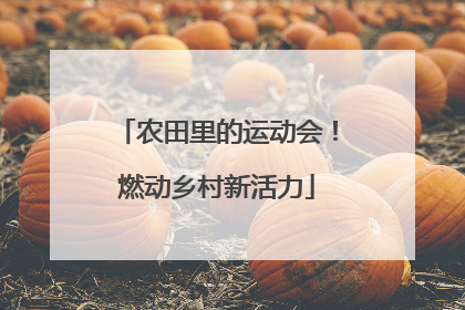 农田里的运动会！燃动乡村新活力
