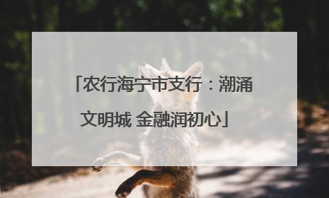 农行海宁市支行：潮涌文明城 金融润初心