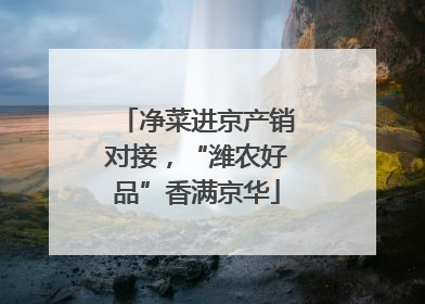 净菜进京产销对接，“潍农好品”香满京华