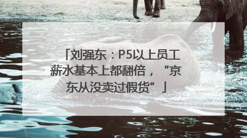 刘强东：P5以上员工薪水基本上都翻倍，“京东从没卖过假货”