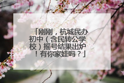 刚刚，杭城民办初中（含民转公学校）摇号结果出炉！有你家娃吗？