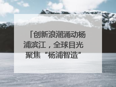 创新浪潮涌动杨浦滨江，全球目光聚焦“杨浦智造”｜相约复兴岛
