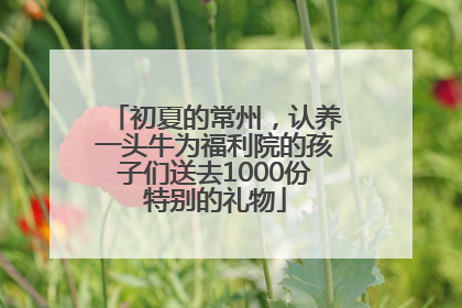 初夏的常州，认养一头牛为福利院的孩子们送去1000份特别的礼物