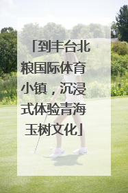 到丰台北粮国际体育小镇，沉浸式体验青海玉树文化