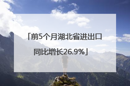 前5个月湖北省进出口同比增长26.9%
