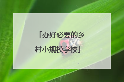 办好必要的乡村小规模学校