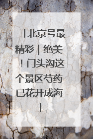北京号最精彩｜绝美！门头沟这个景区芍药已花开成海