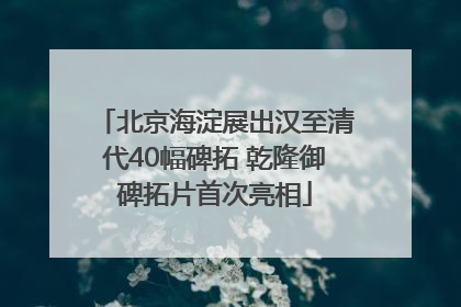 北京海淀展出汉至清代40幅碑拓 乾隆御碑拓片首次亮相