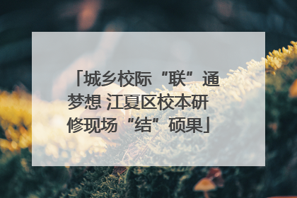 城乡校际“联”通梦想 江夏区校本研修现场“结”硕果