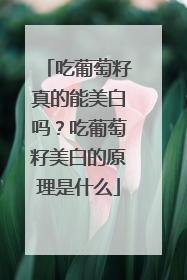 吃葡萄籽真的能美白吗？吃葡萄籽美白的原理是什么