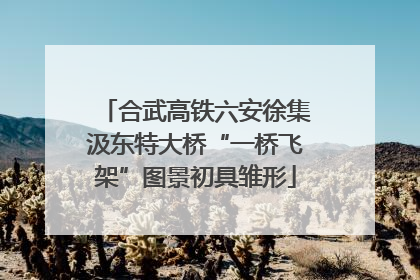 合武高铁六安徐集汲东特大桥“一桥飞架”图景初具雏形