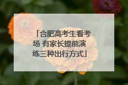 合肥高考生看考场 有家长提前演练三种出行方式