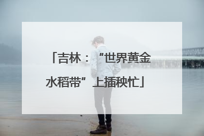 吉林：“世界黄金水稻带”上插秧忙