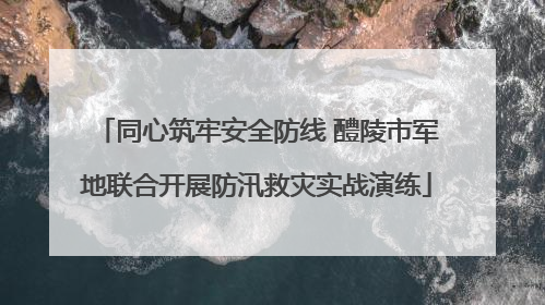同心筑牢安全防线 醴陵市军地联合开展防汛救灾实战演练