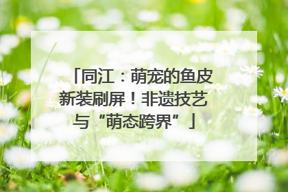同江：萌宠的鱼皮新装刷屏！非遗技艺与“萌态跨界”