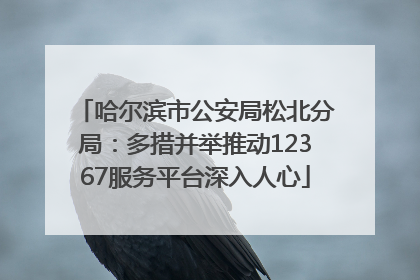 哈尔滨市公安局松北分局：多措并举推动12367服务平台深入人心