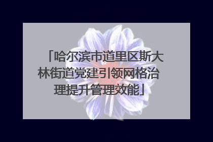 哈尔滨市道里区斯大林街道党建引领网格治理提升管理效能