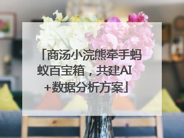 商汤小浣熊牵手蚂蚁百宝箱，共建AI+数据分析方案