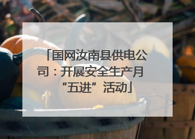 国网汝南县供电公司：开展安全生产月“五进”活动