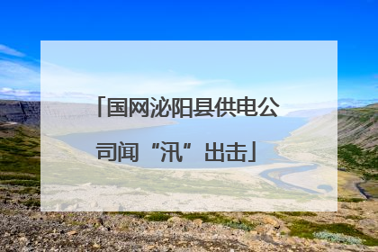 国网泌阳县供电公司闻“汛”出击
