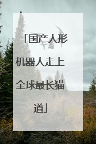 国产人形机器人走上全球最长猫道