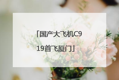 国产大飞机C919首飞厦门