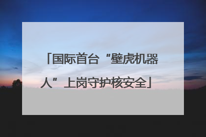国际首台“壁虎机器人”上岗守护核安全