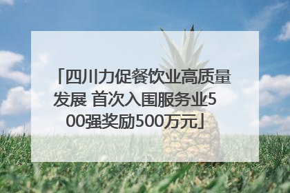 四川力促餐饮业高质量发展 首次入围服务业500强奖励500万元