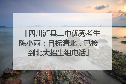 四川泸县二中优秀考生陈小雨：目标清北，已接到北大招生组电话