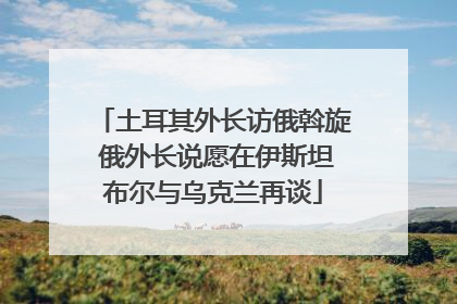 土耳其外长访俄斡旋 俄外长说愿在伊斯坦布尔与乌克兰再谈