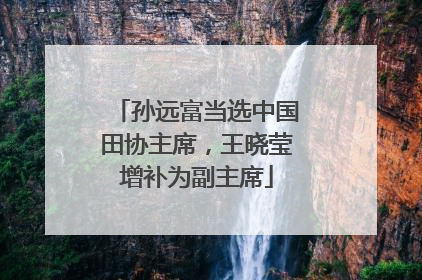 孙远富当选中国田协主席，王晓莹增补为副主席