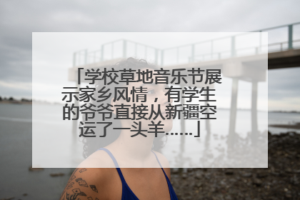学校草地音乐节展示家乡风情，有学生的爷爷直接从新疆空运了一头羊……