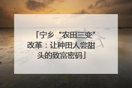 宁乡“农田三变”改革：让种田人尝甜头的致富密码