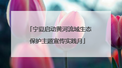 宁夏启动黄河流域生态保护主题宣传实践月
