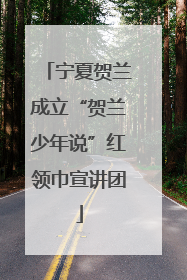 宁夏贺兰成立“贺兰少年说”红领巾宣讲团