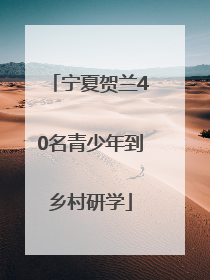 宁夏贺兰40名青少年到乡村研学
