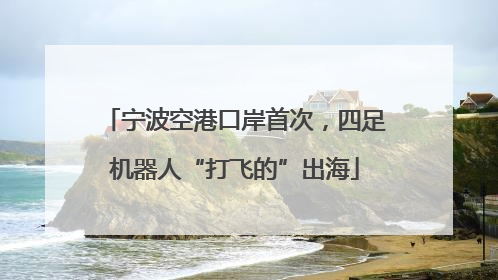 宁波空港口岸首次，四足机器人“打飞的”出海