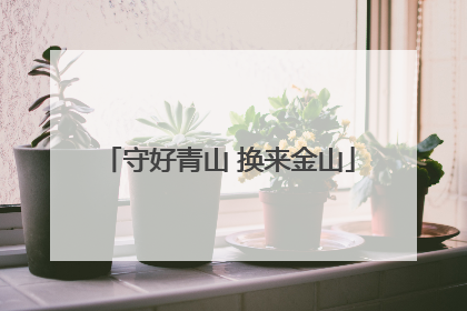 守好青山 换来金山