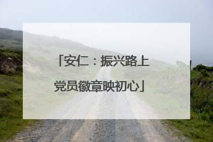 安仁：振兴路上 党员徽章映初心