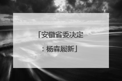 安徽省委决定：杨森履新
