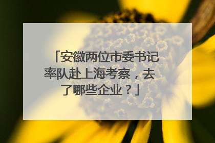 安徽两位市委书记率队赴上海考察，去了哪些企业？