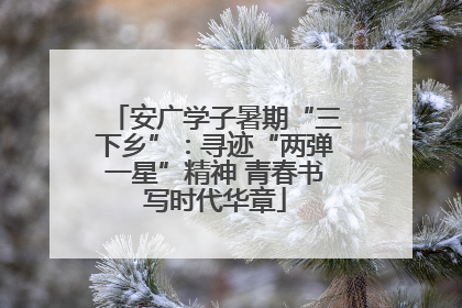 安广学子暑期“三下乡”：寻迹“两弹一星”精神 青春书写时代华章