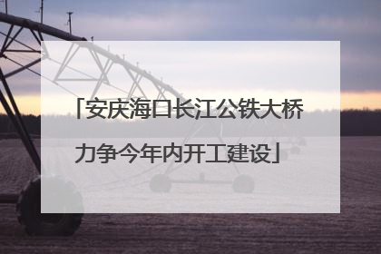 安庆海口长江公铁大桥力争今年内开工建设