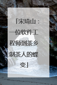 宋琦山：一位软件工程师到茶乡制茶人的蝶变