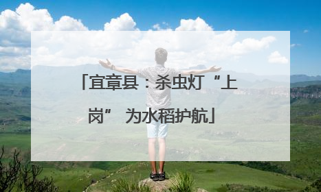 宜章县：杀虫灯“上岗” 为水稻护航