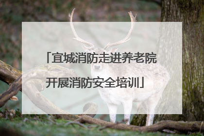 宜城消防走进养老院开展消防安全培训