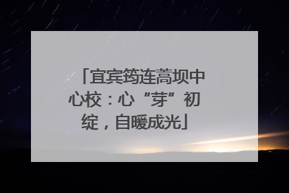 宜宾筠连蒿坝中心校：心“芽”初绽，自暖成光